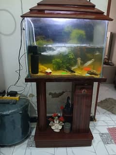 Aquarium with Fishes available
