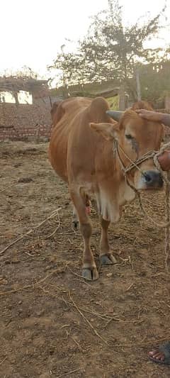 good condition
