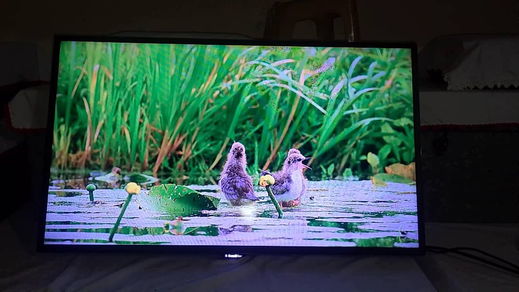 Ecostar led 40" with android box 12