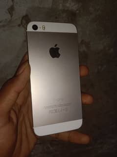 iphone 5s
