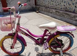 Cycles