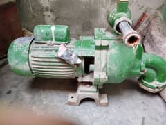 Faisal double impaler pump