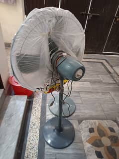 padestal