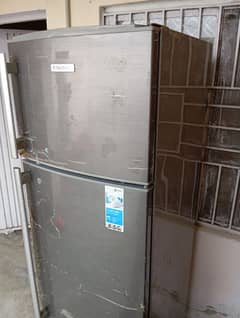 fridge medium size, Electrolux imported no-frost. very good cooling