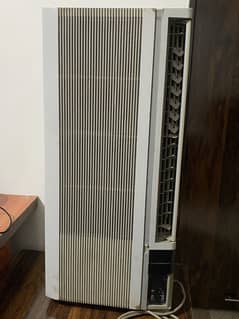 AC 110v Window