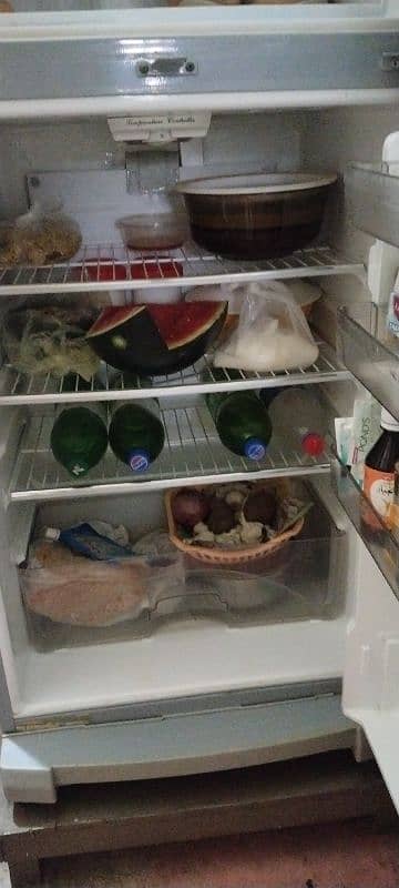 freezer with A1 condition 3