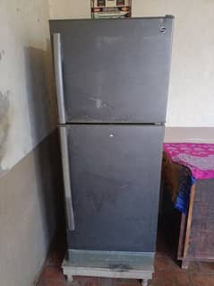 PEL Used Refrigerator in Good Working Condition