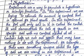 assignment work needed contact on WhatsApp: 03484597383