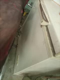 freezer