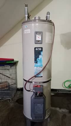 25 Gallon NasGas Geyser