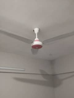 ceiling