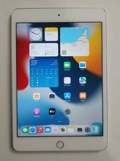 Apple iPad Mini 4 128GB Bypass