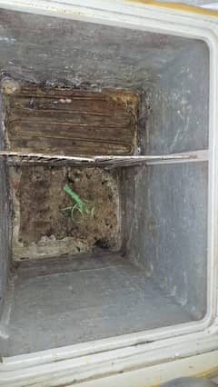 Dawlance Freezer in Used