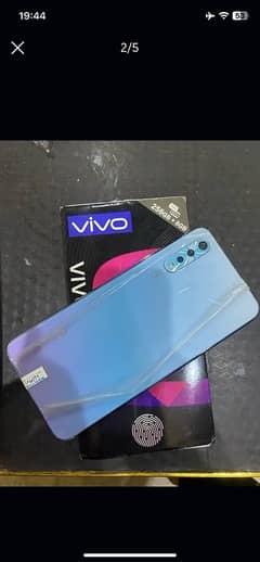 VIVO