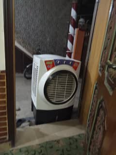 Venus cooler medium size