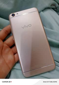 vivo