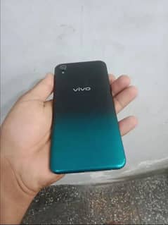 VIVO