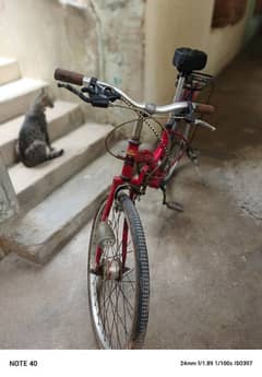 Bicycle