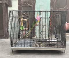 cage for sale