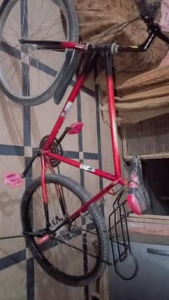 phone x cycle