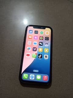 iPhone 12 JV