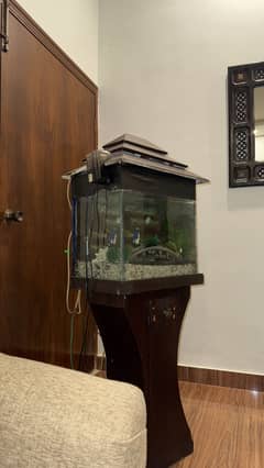 Aquarium