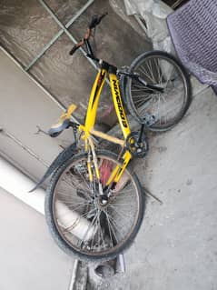 slightly used bicycle of Goodwin