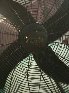 Fan