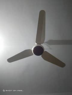 IN