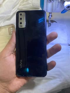 vivo