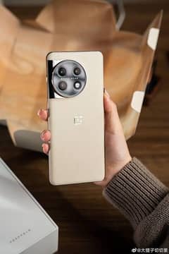 OnePlus