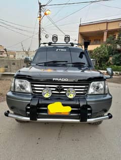 pardo TZ