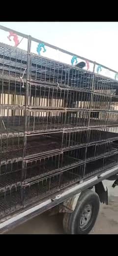 shahzore punjra for sale