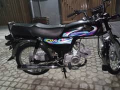 CD 70 2025