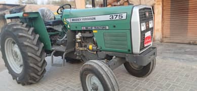 Massy 375 24/25