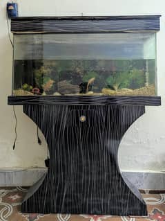 Aquarium