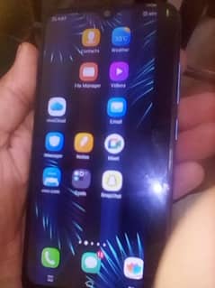 Vivo