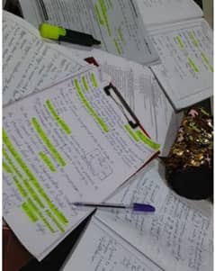content writting