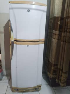 medium size pell fridge