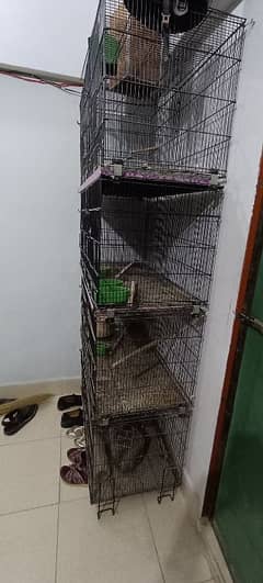 parrots Cage for sale.