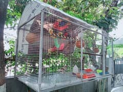 Big Cage for Sale