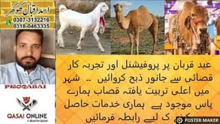 Qasai available 03180463335