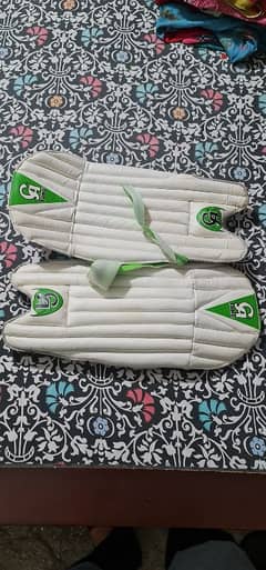 cricket