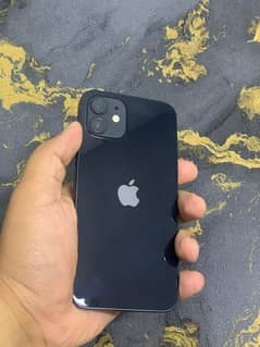 Iphone 12 Pta Approved