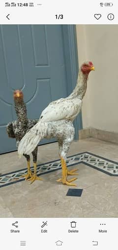 For