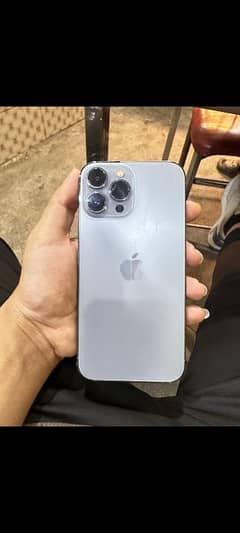 03164095566