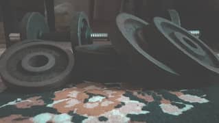 Weight Plates