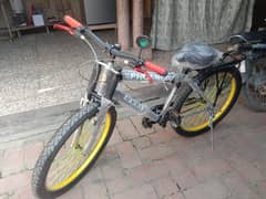 phonex cycle