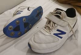 New balance ck4040 cricket spikes shoes cricket shoes