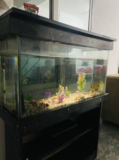 Aquarium
